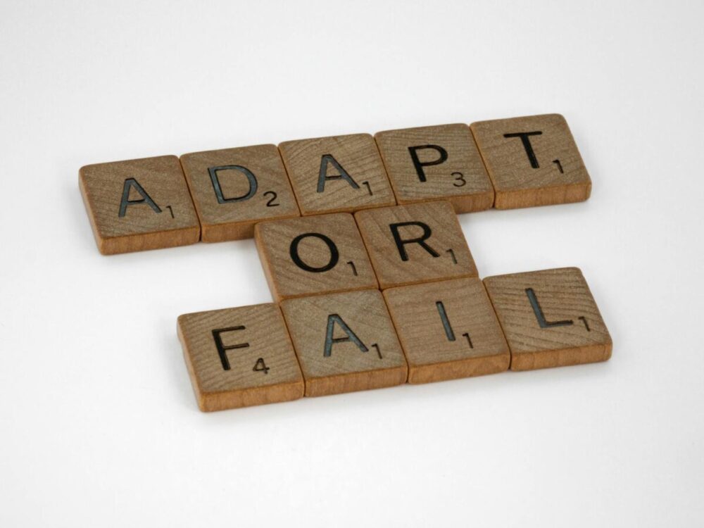 A Guide to Adaptability Skills