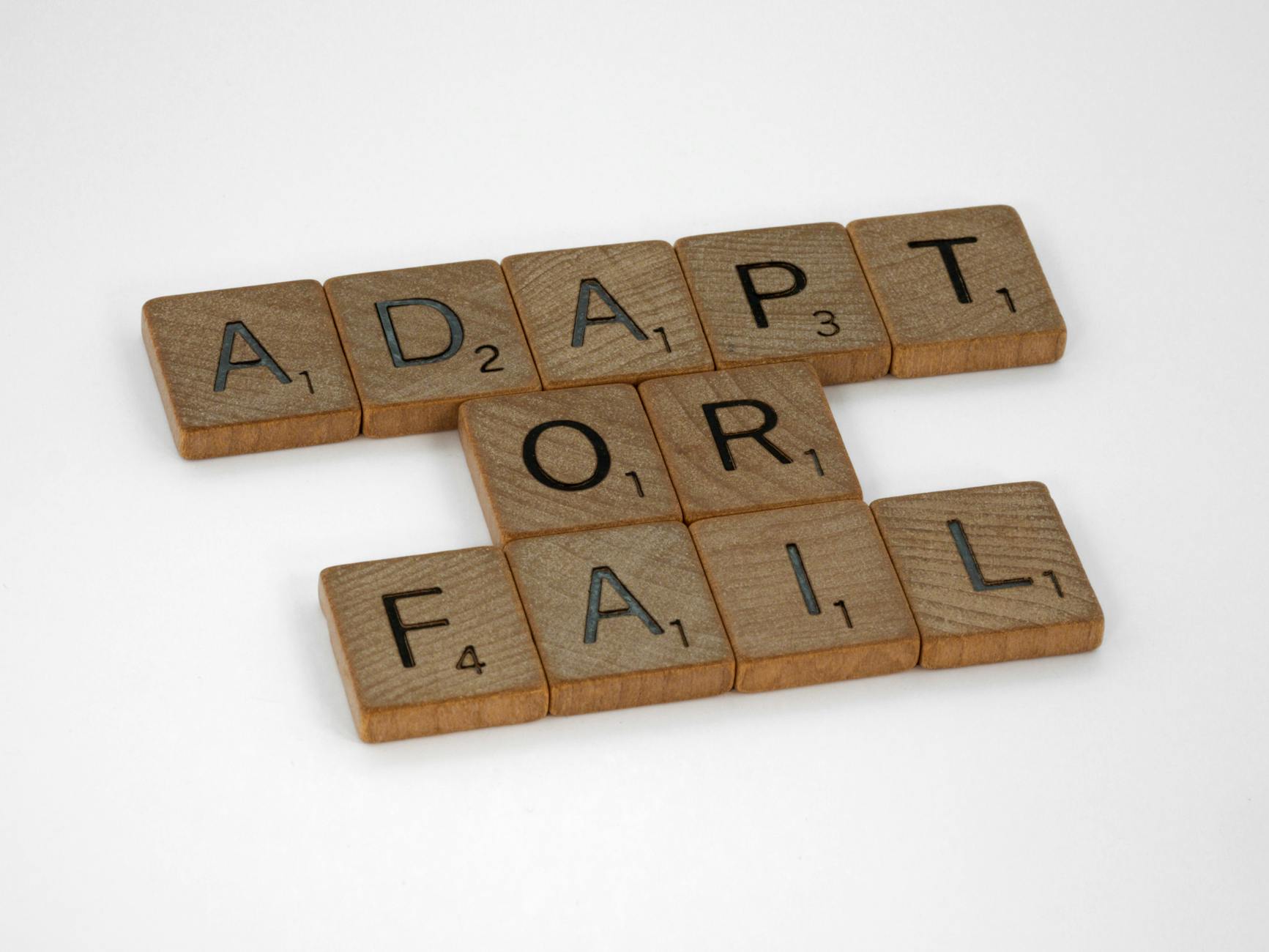 A Guide to Adaptability Skills